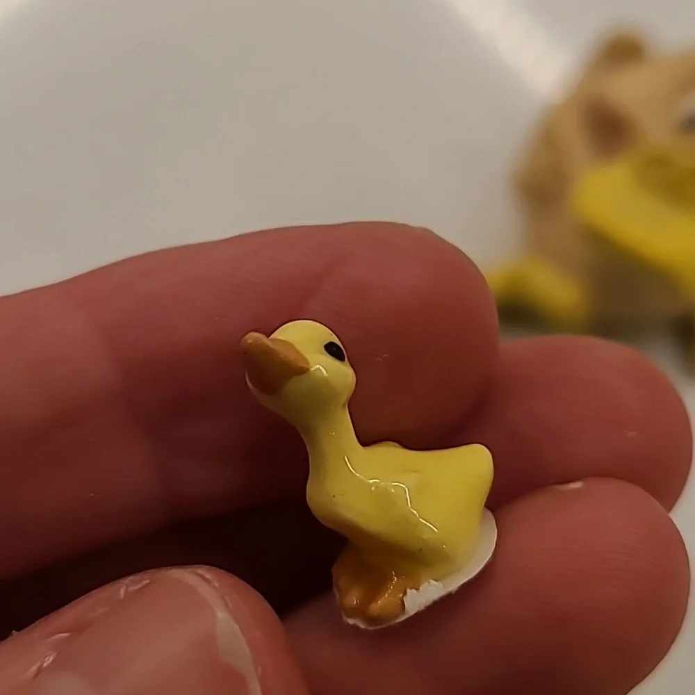 Duck bundle - Picture 2 of 5